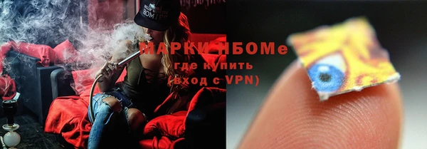 прущий лед Богданович