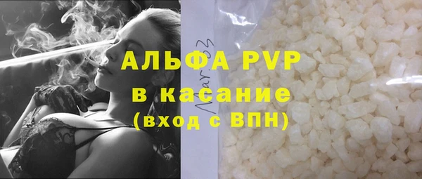 прущий лед Богданович