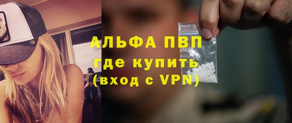 прущий лед Богданович