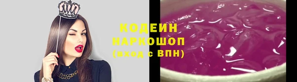 прущий лед Богданович