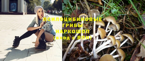 прущий лед Богданович