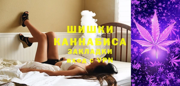 Альфа ПВП Богородск