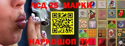 гашик Моздок