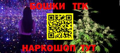 гашик Моздок