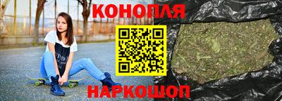 гашик Моздок