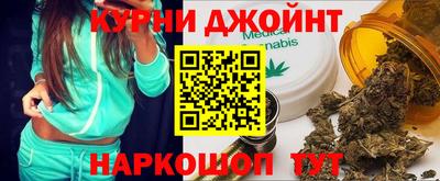 гашик Моздок