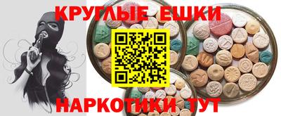 гашик Моздок
