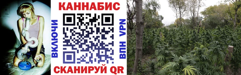 блэк спрут ССЫЛКА  Бор  мориарти как зайти  Марихуана Amnesia 